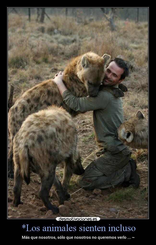 carteles animales animales sentimientos tardesinolvidables monsterenergy hoysinoescontigodeaquinomevoyyo desmotivaciones