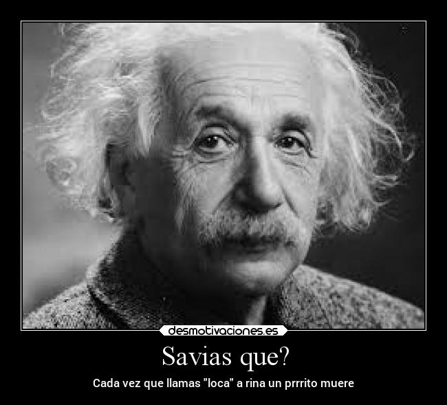 Savias que? - Cada vez que llamas loca a rina un prrrito muere