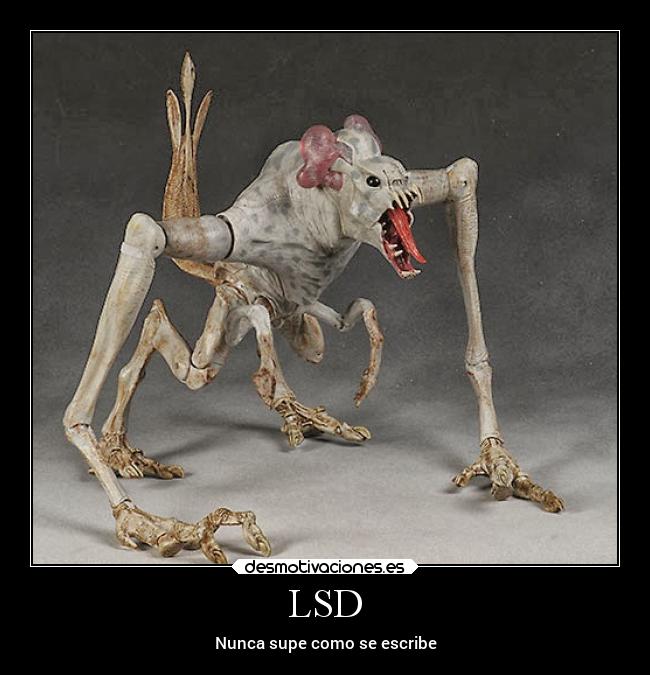 LSD - Nunca supe como se escribe