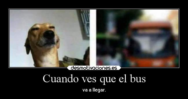 Cuando ves que el bus - 