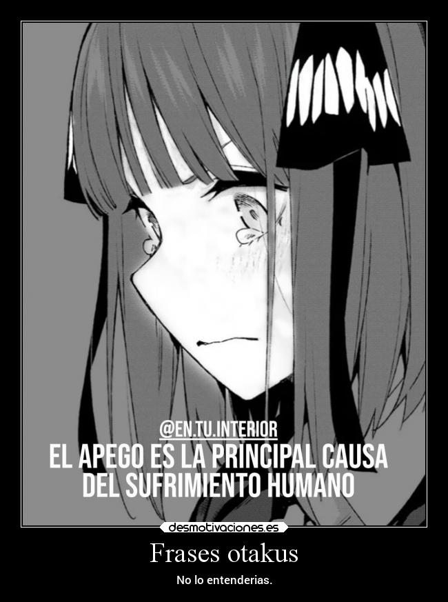 Frases otakus - No lo entenderias.