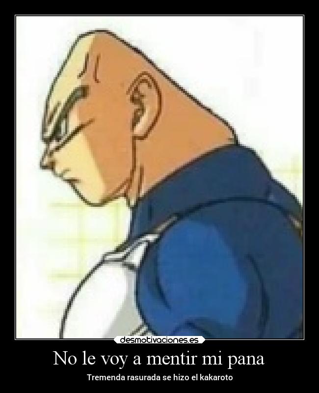 No le voy a mentir mi pana - 