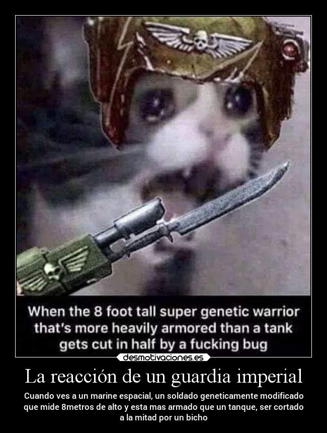 La reacción de un guardia imperial - Cuando ves a un marine espacial, un soldado geneticamente modificado
que mide 8metros de alto y esta mas armado que un tanque, ser cortado
a la mitad por un bicho