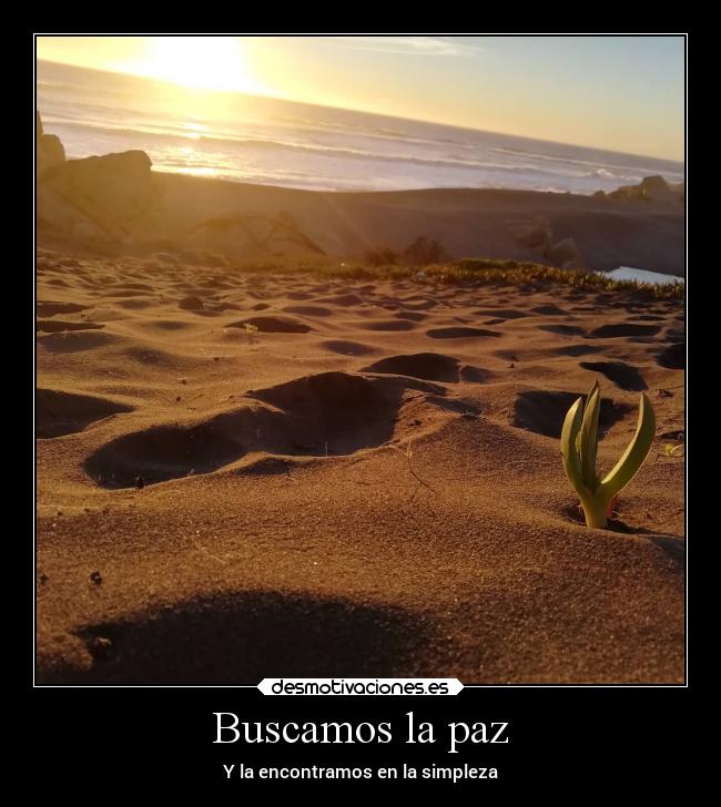 Buscamos la paz - Y la encontramos en la simpleza