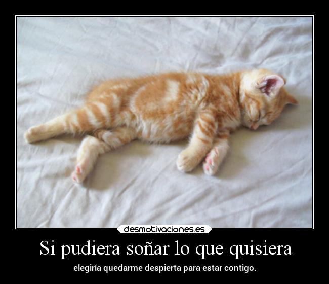 Si pudiera soñar lo que quisiera - elegiría quedarme despierta para estar contigo.