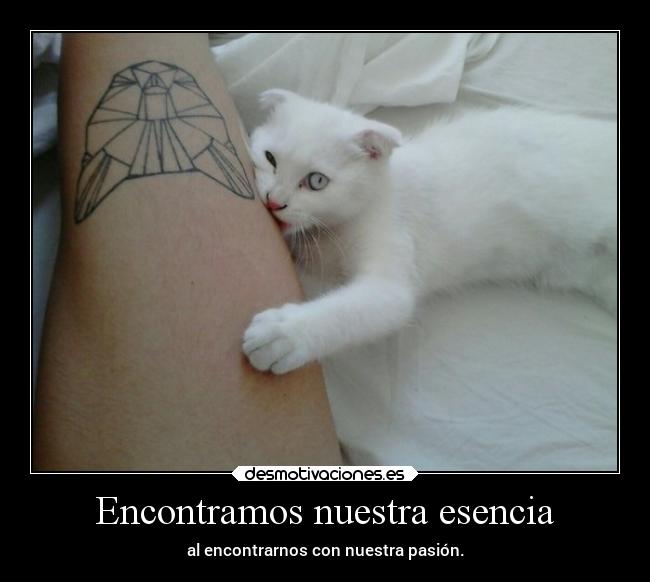 Encontramos nuestra esencia - al encontrarnos con nuestra pasión.