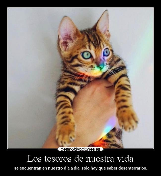 Los tesoros de nuestra vida - se encuentran en nuestro día a día, solo hay que saber desenterrarlos.