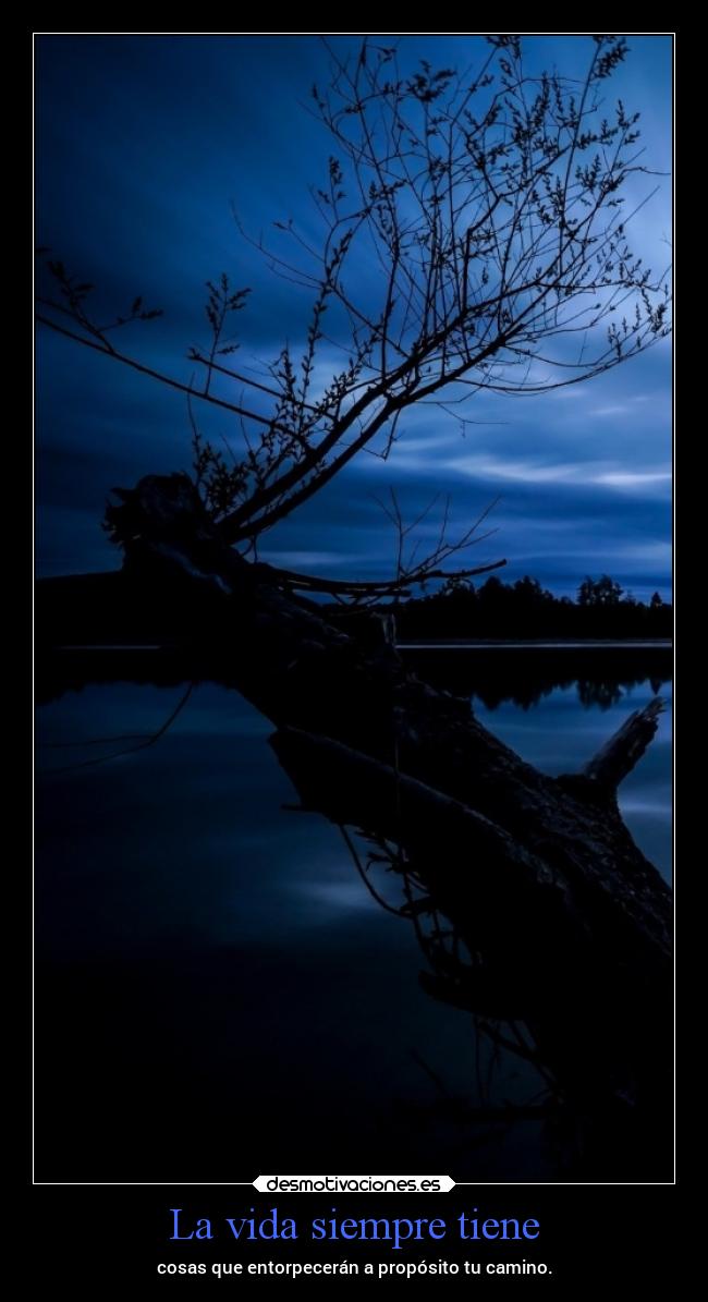 carteles vida vida chopper igbt desmotivaciones