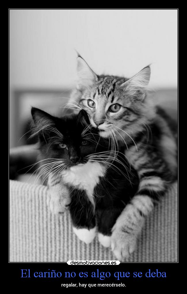 carteles vida dolor carino cosas desmotivaciones