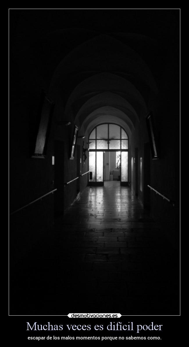 carteles vida ltsc lrssg alex vazquez999 desmotivaciones