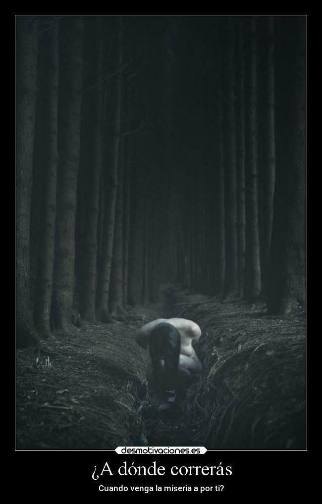 ¿A dónde correrás -