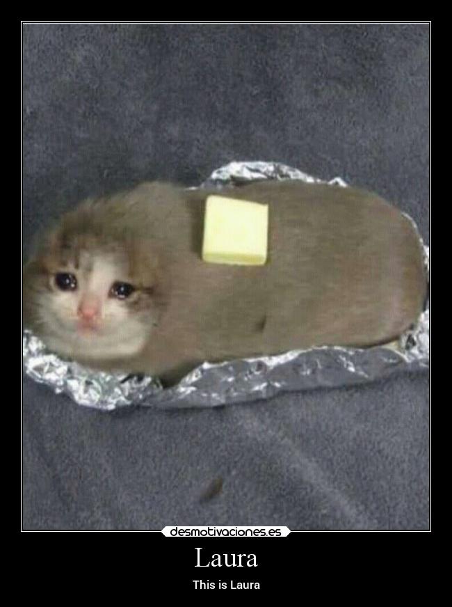 Laura - This is Laura