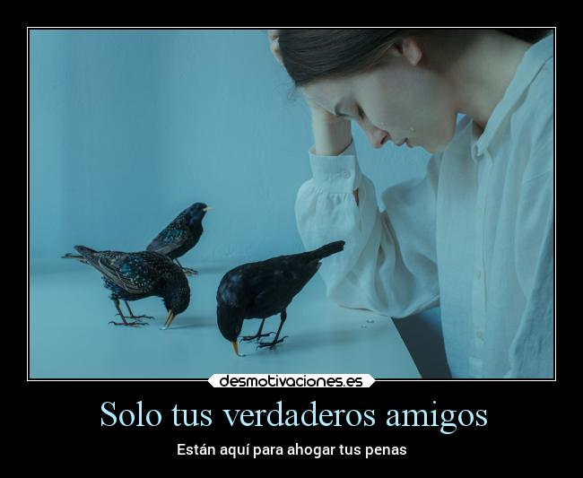 Solo tus verdaderos amigos - 