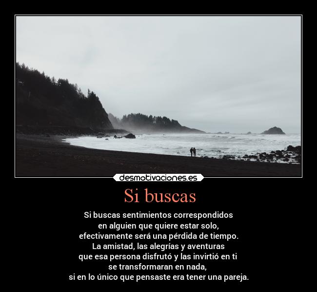 Si buscas - Si buscas sentimientos correspondidos
en alguien que quiere estar solo,
efectivamente será una pérdida de tiempo.
La amistad, las alegrías y aventuras
que esa persona disfrutó y las invirtió en ti
se transformaran en nada,
si en lo único que pensaste era tener una pareja.