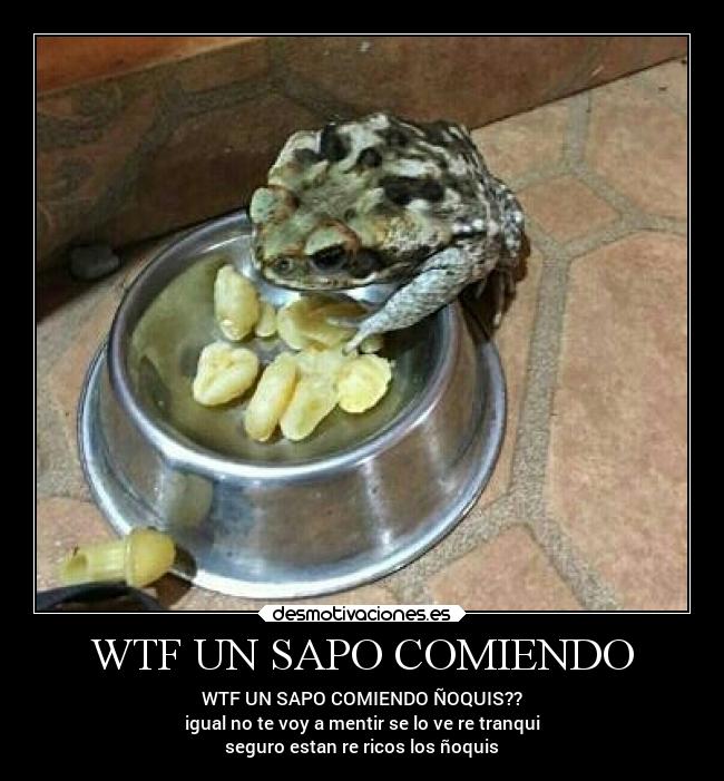 WTF UN SAPO COMIENDO - 