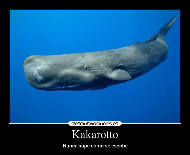 Kakarotto - Nunca supe como se escribe