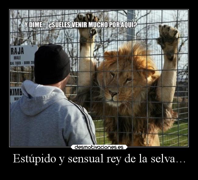 Estúpido y sensual rey de la selva… - 