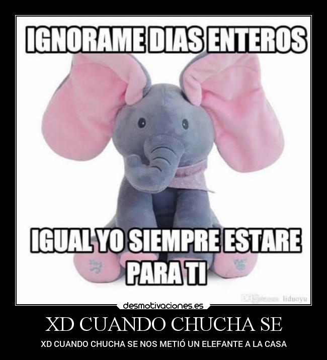 XD CUANDO CHUCHA SE -
