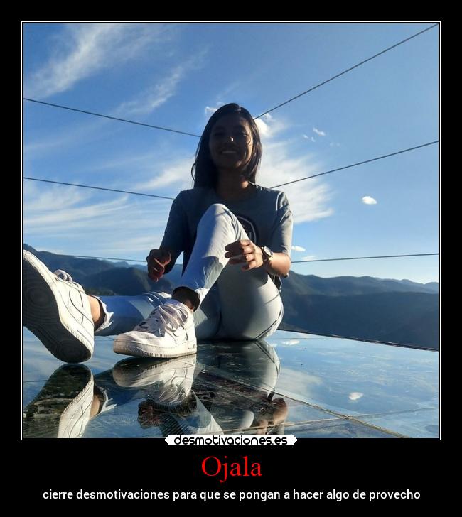 carteles bogota administrador pendejo estupido legionra matate wey desmotivaciones