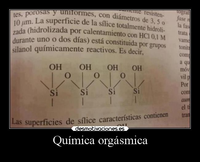 Química orgásmica - 