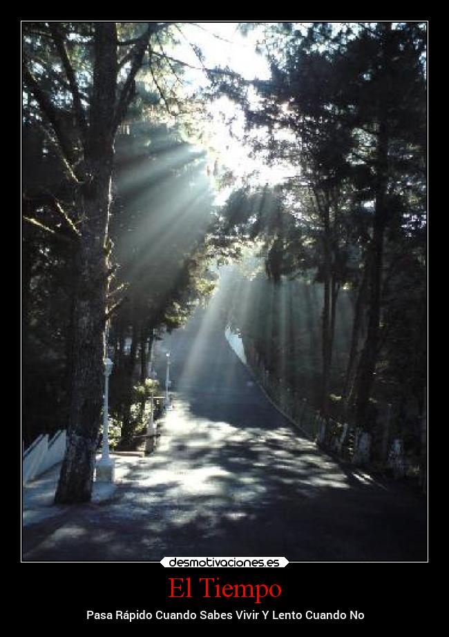 carteles chiste ausencia frases fail desmotivaciones