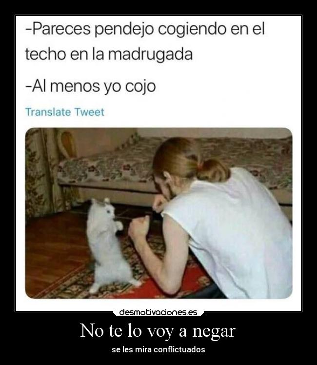 No te lo voy a negar - se les mira conflictuados