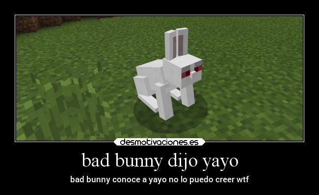bad bunny dijo yayo - bad bunny conoce a yayo no lo puedo creer wtf