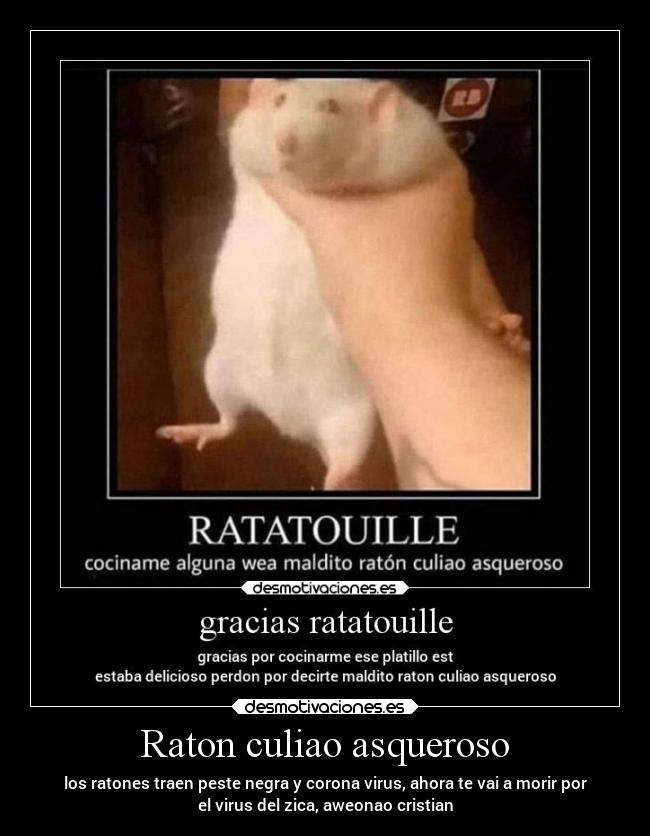 Raton culiao asqueroso - los ratones traen peste negra y corona virus, ahora te vai a morir por
el virus del zica, aweonao cristian