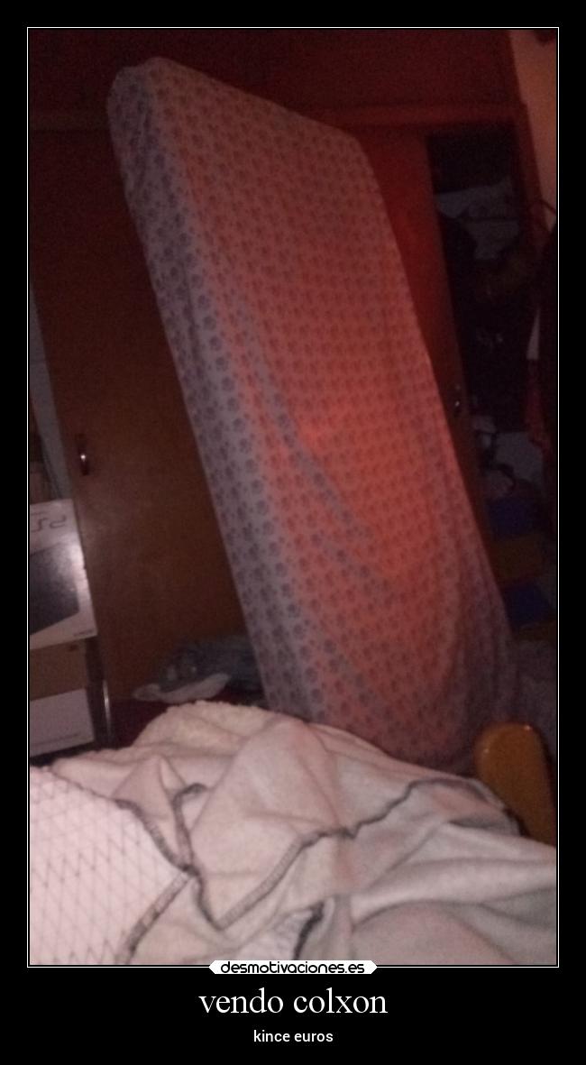 vendo colxon - kince euros