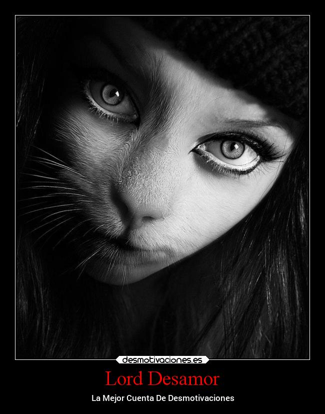 carteles desamor anime desamor desmotivaciones girl cat manga lord desmotivaciones