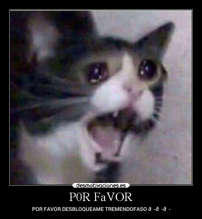 carteles desamor desmotivaciones