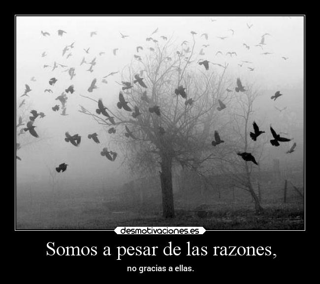 Somos a pesar de las razones, - 