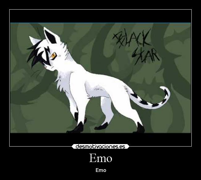 carteles gatos desmotivaciones