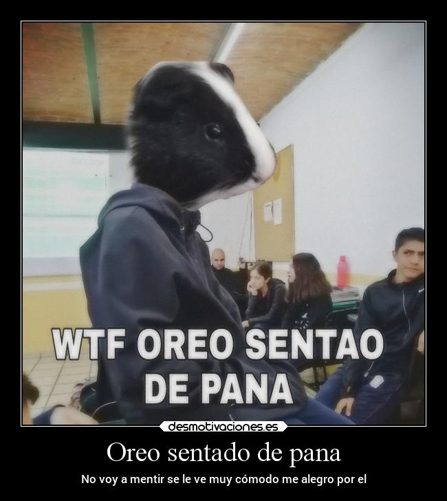 Oreo sentado de pana -