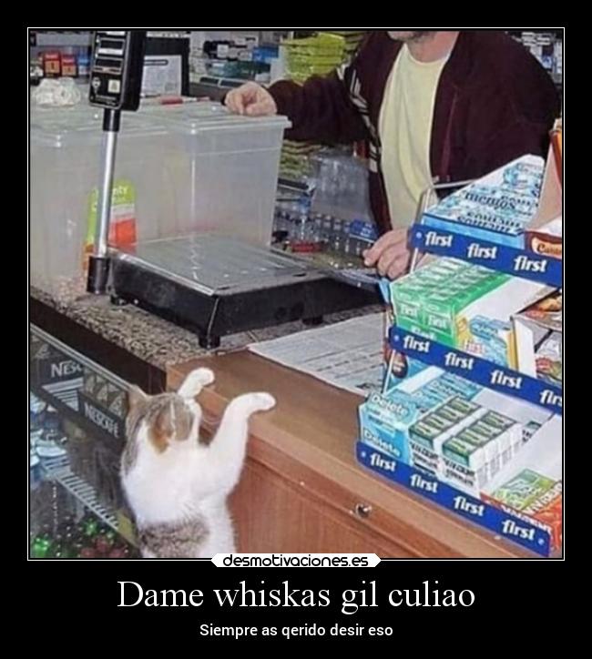 carteles humor gato comprobados desmotivaciones