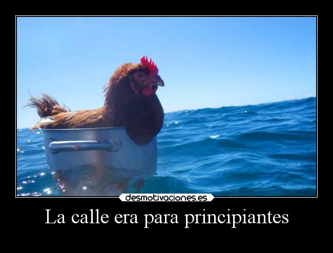 La calle era para principiantes - 