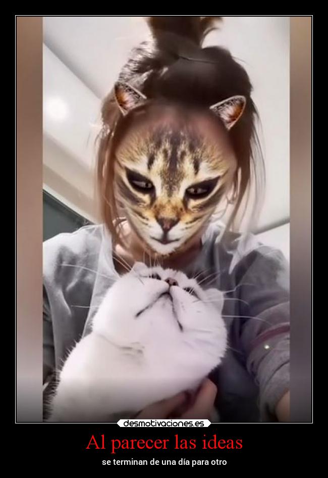 carteles ideas ausencia anime quites lugar horrible usuario mierda desmotivaciones