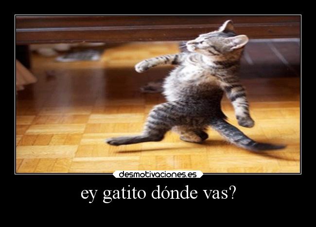 carteles ideas desmotivaciones