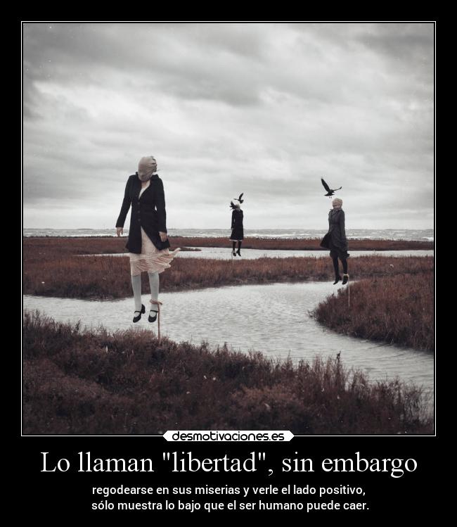 carteles libertad desmotivaciones vida clandesplazado soyunidiotatm manada32 projectd desmotivaciones