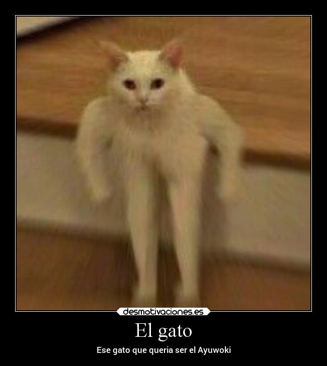 carteles memes desmotivaciones