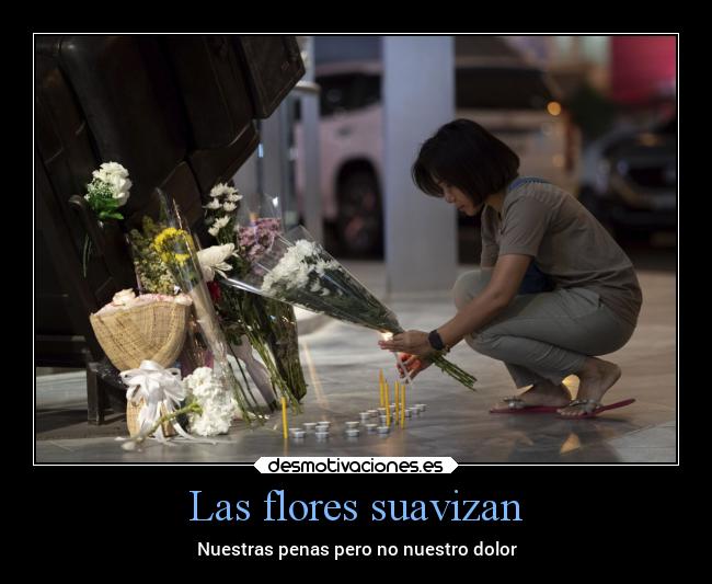 carteles muerte tristeza ofrenda tumba luto desmotivaciones