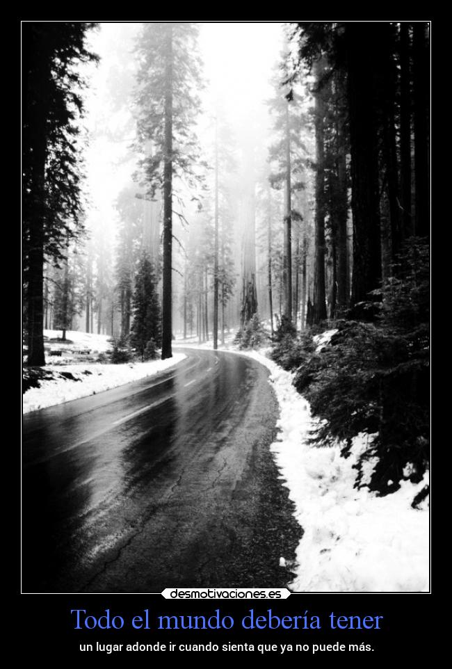 Todo el mundo debería tener - 