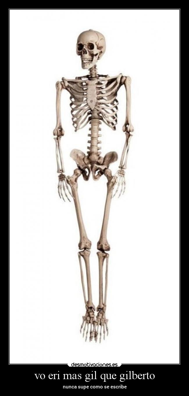 carteles pensamientos desmotivaciones