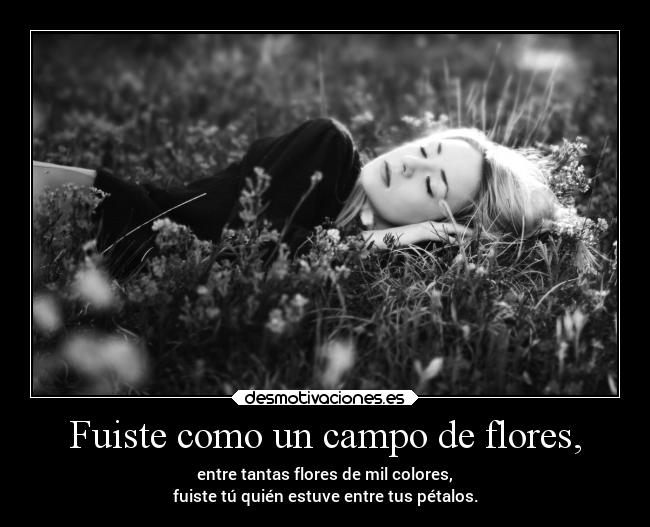 Fuiste como un campo de flores, - 