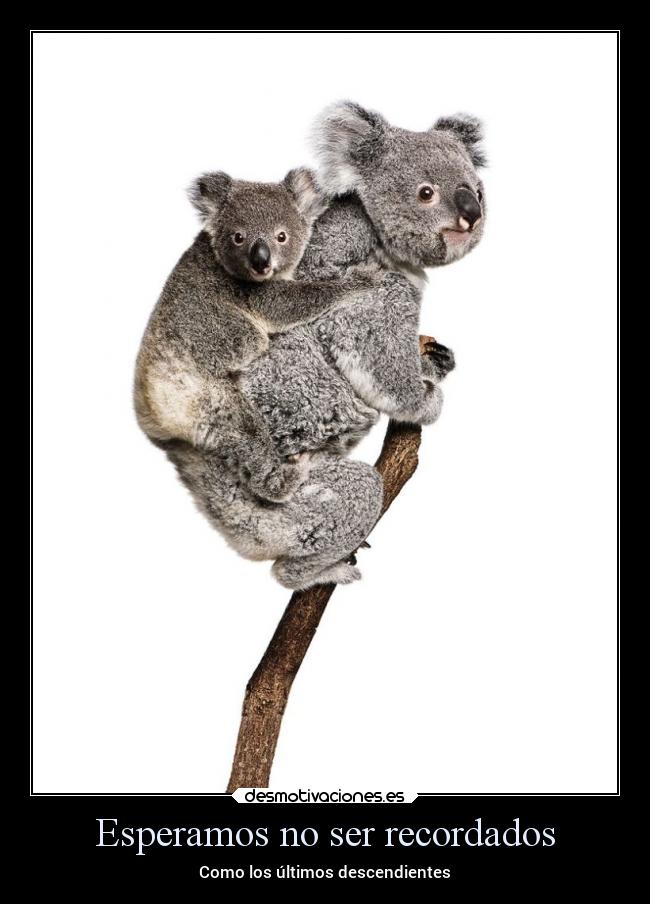 carteles recuerdos esperanza desaparecer desmotivaciones