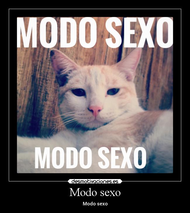 carteles sexo sexo sexy diciendo modo desmotivaciones