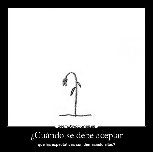 ¿Cuándo se debe aceptar - que las expectativas son demasiado altas?