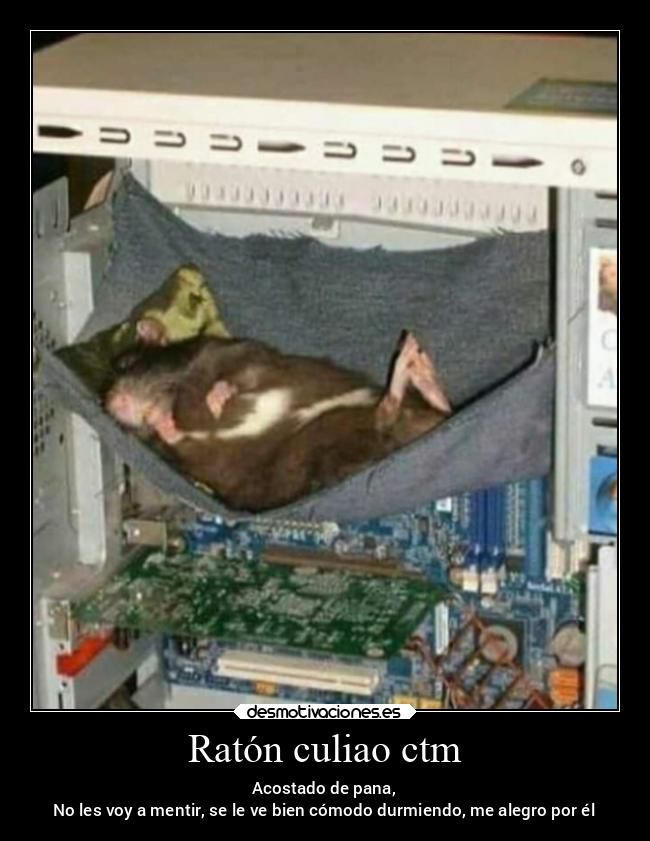 carteles abrazos desmotivaciones