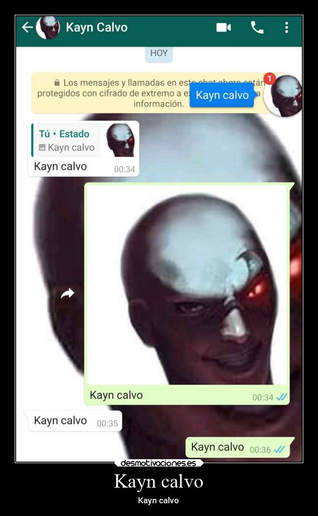 Kayn calvo - Kayn calvo