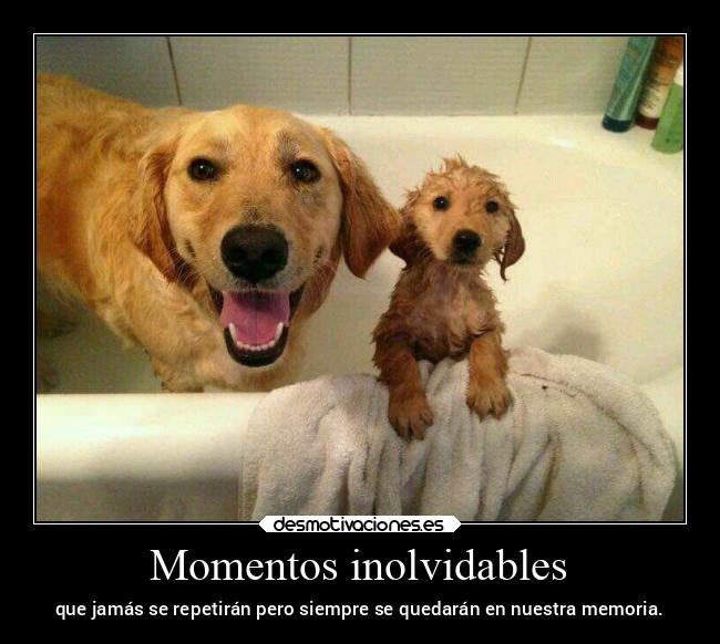 Momentos inolvidables - 